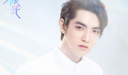 吃瓜爆料鹿晗吴磊,揭秘娱乐圈背后的故事