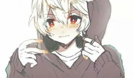 动漫男,探寻校园英雄的成长轨迹