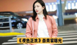 江疏影的电视剧,情感纠葛与职场风云